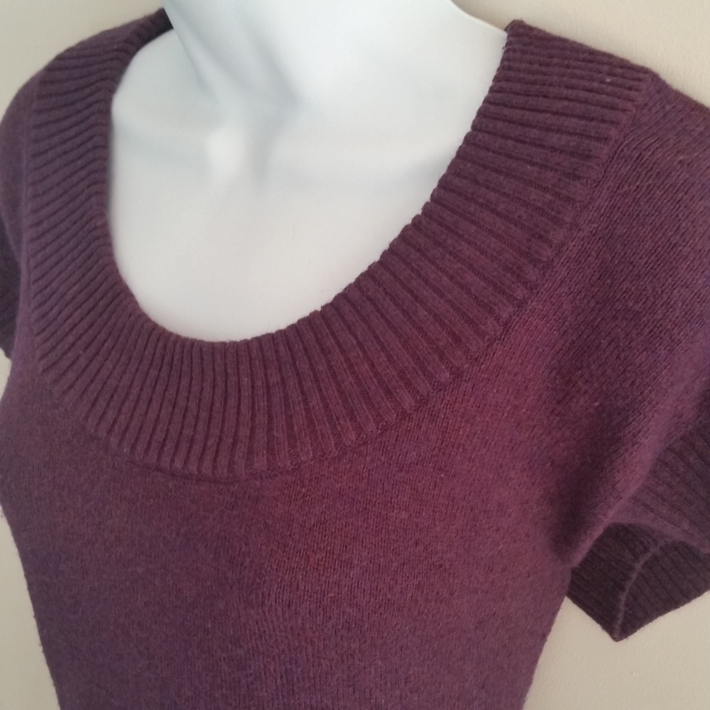 LOFT Plum Scoop Neck Short Sleeved Tunic Sweater S